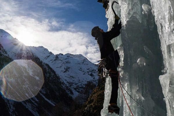 Les aspis au travail