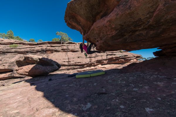 Abarracin, les phalanges en folie