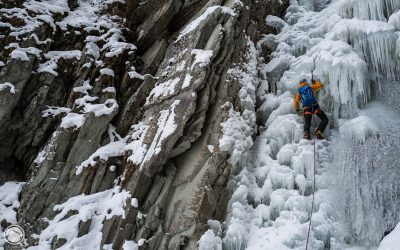 Les pioches sont de retour